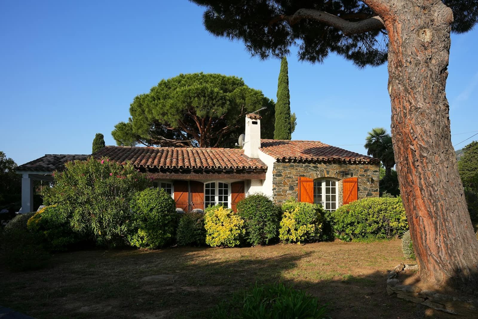 Villa provençale aux volets rouges sous de grands pins parasols